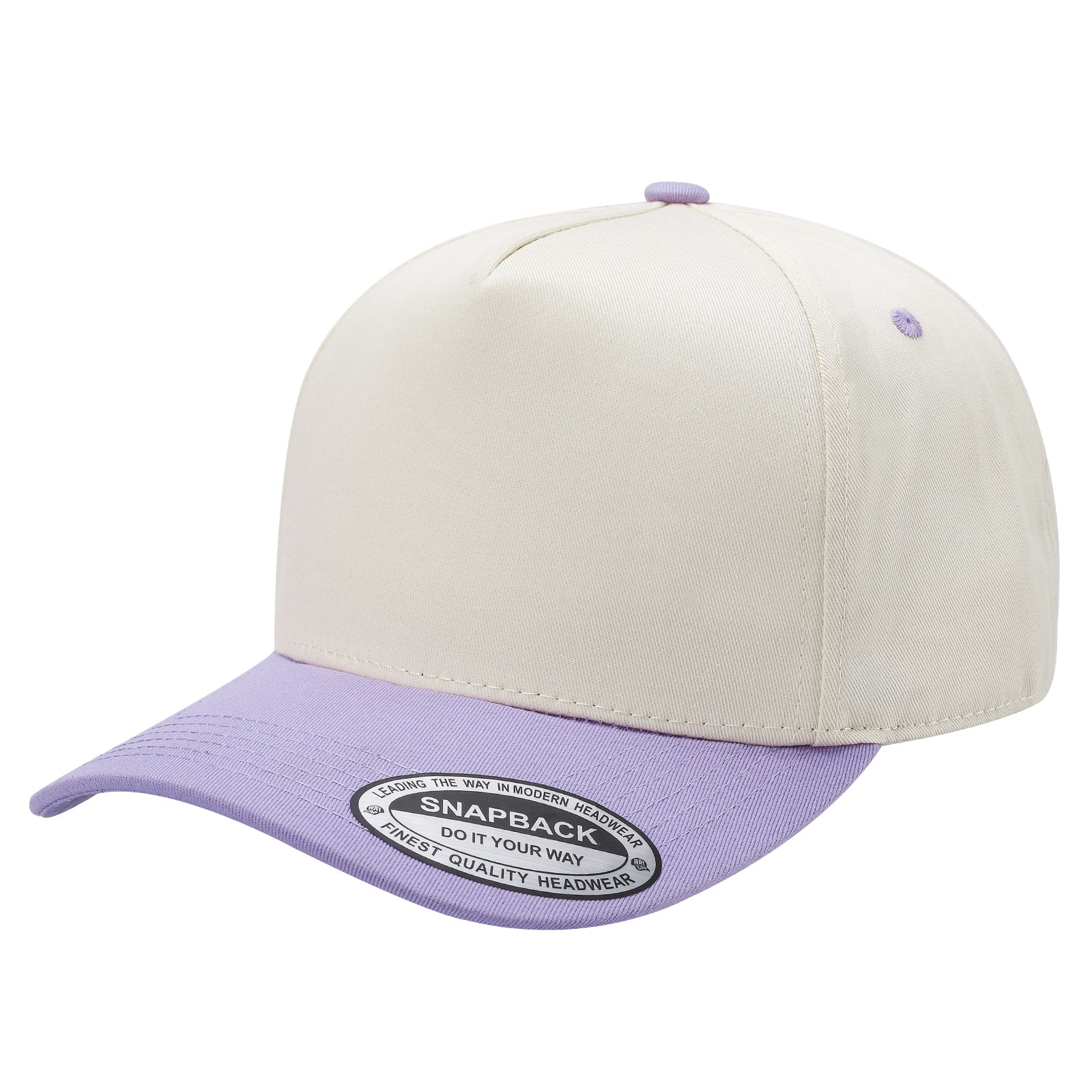 TCTAN-PC-5PANEL 2TONE SNAP BACK HATS-PREPACK