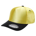 TCSTS-DZ-SATIN CROWN & SUEDE BILL 5PANEL SNAP BACK12PCS/DZ