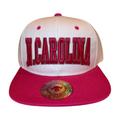 HP-DZ-NCAROLINA EMBROIDERY FLAT BILL SNAPBACK-$6
