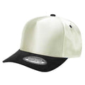 TCSTS-DZ-SATIN CROWN & SUEDE BILL 5PANEL SNAP BACK12PCS/DZ