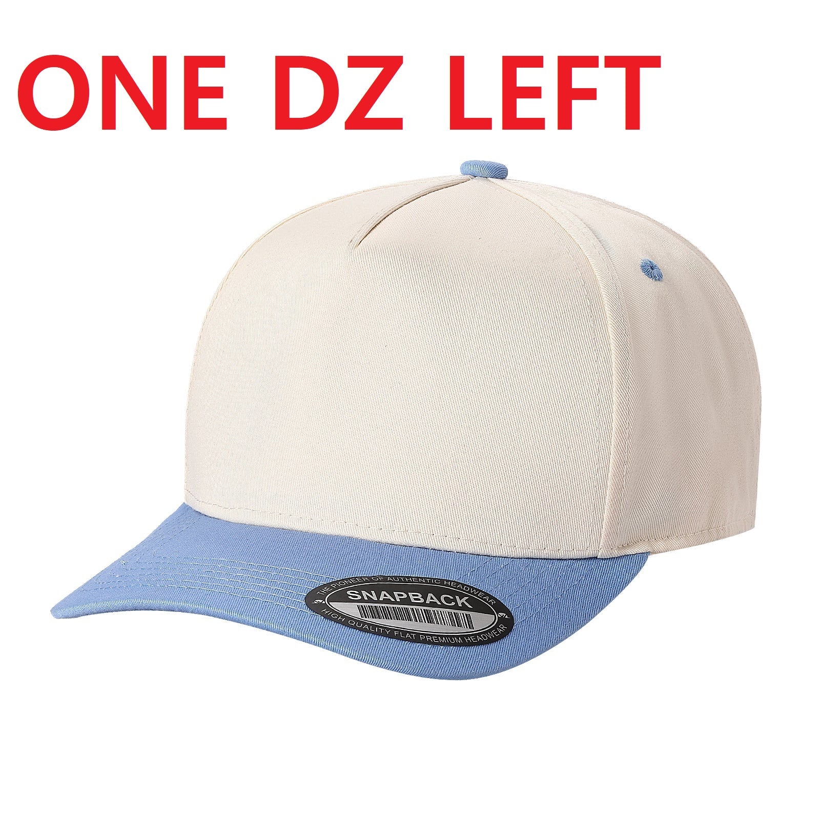 TCTAN-5 PANEL 2TONE SNAP BACK HATS   (BEST SELLER)